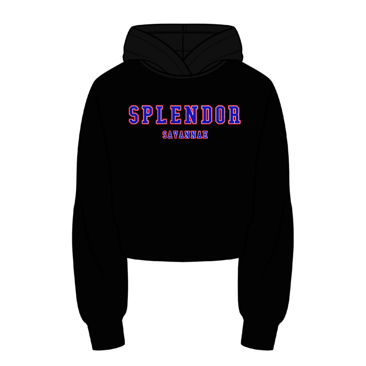 SS Hometown Pride Premium Cropped Pullover